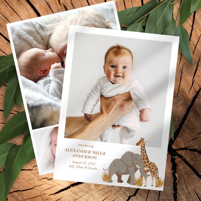Safari Animals Photos Nyfödd bebis-meddelande Inbjudningar (Skapare uppladdad)