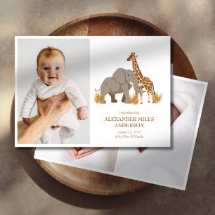 Safari Animals Photos Nyfödd bebis-meddelande Inbjudningar
