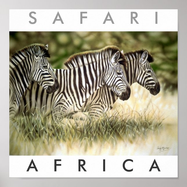 Safari Arica Poster (Framsidan)