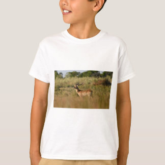 Safari Äventyr Buddy-Animal Friend Tee