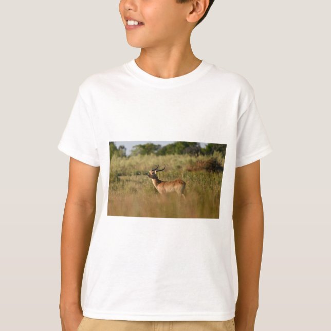 Safari Äventyr Buddy-Animal Friend Tee (Framsida)