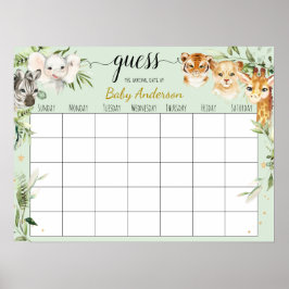 Safari Babyfirande Gissa Förfallodatum Kalender Af Poster