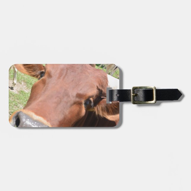 Safari Brown Cow Bagagebricka (Horisontell Framsida)