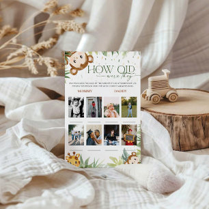 Safari-djur hur gamla de var babyvilt