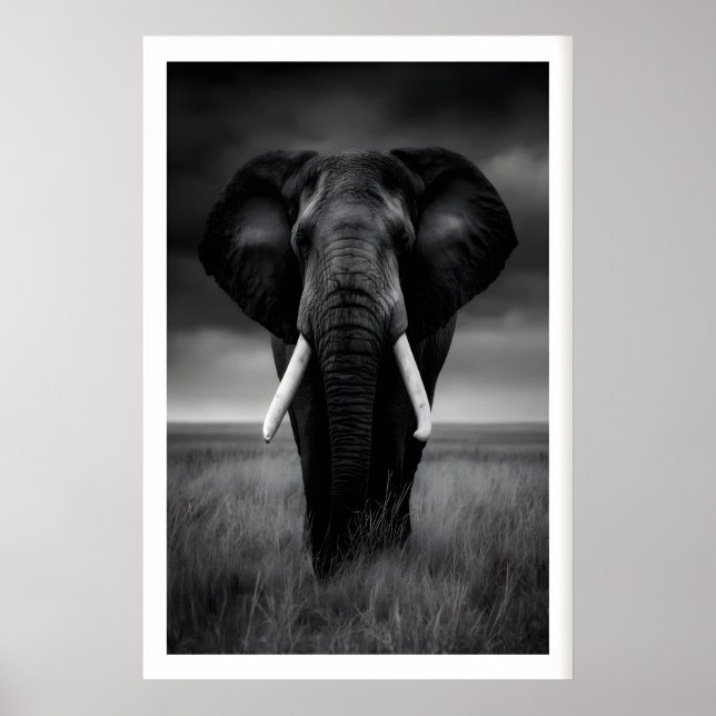 Safari Elefanttryck, Svart och Vitt, Stadig Poster (Framsidan)