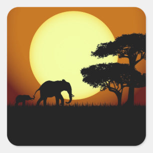 Safari elephants vid sunset fyrkantigt klistermärke