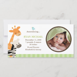 Safari Friends Birth Notice cement Meddelande