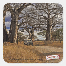 Safari Fyrkantigt Klistermärke