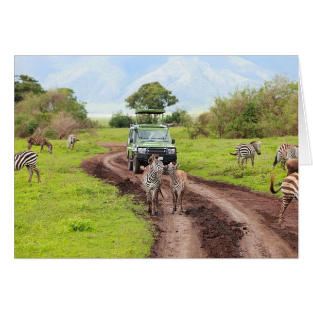 Safari Hälsningskort (Framsidan Horizontal)