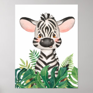 Safari i djungeln Baby Zebra Affisch