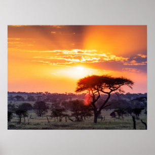 Safari i Serengetis nationalpark Poster