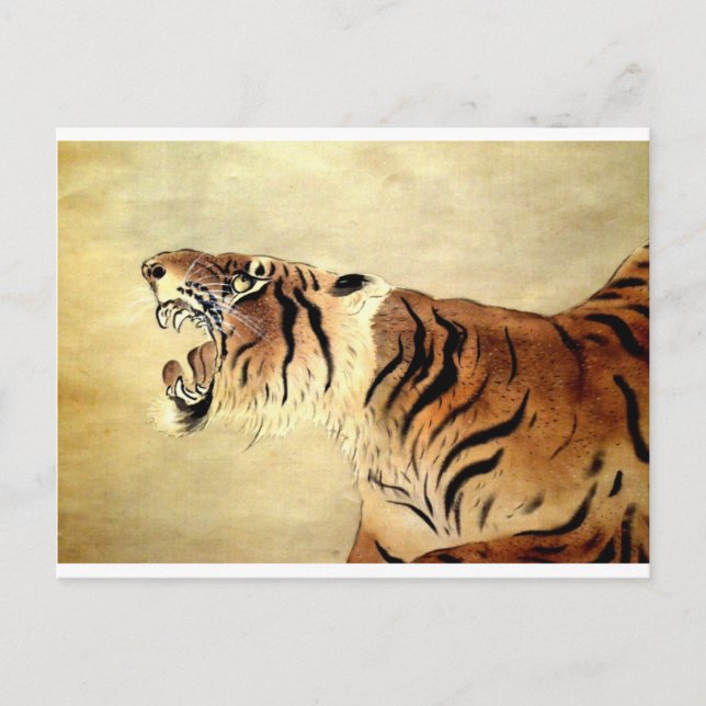 Safari Jungle Tiger Chic Destiny Vykort (Framsida)
