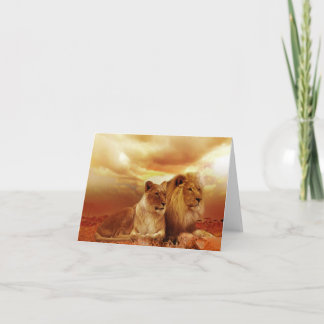 Safari Lejon Greeting Card Kort