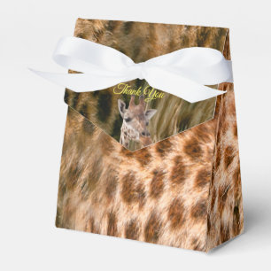 Safari Outdoor Presentaskar