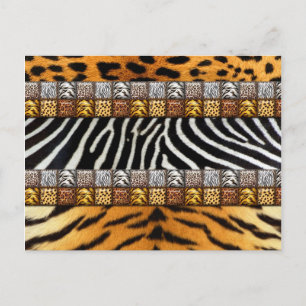 Safari Prints Vykort
