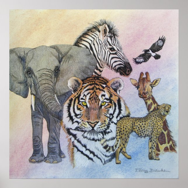 Safari Sampler Poster (Framsidan)