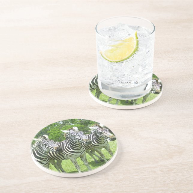 Safari Serenity: tre Zebröder Lejona Land Safari Underlägg (Sidan)