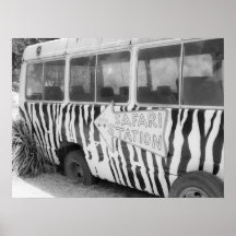 Safari Station Zebra Stripe Tour Buss