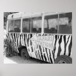 Safari Station Zebra Stripe Tour Buss Poster