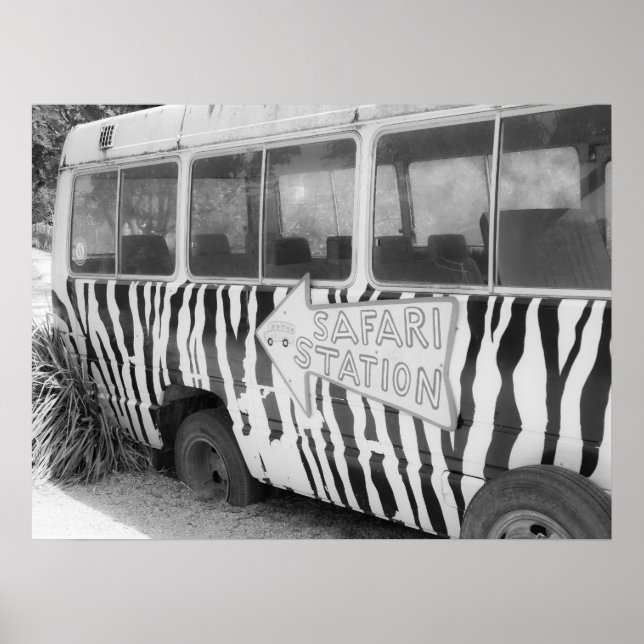 Safari Station Zebra Stripe Tour Buss Poster (Framsidan)