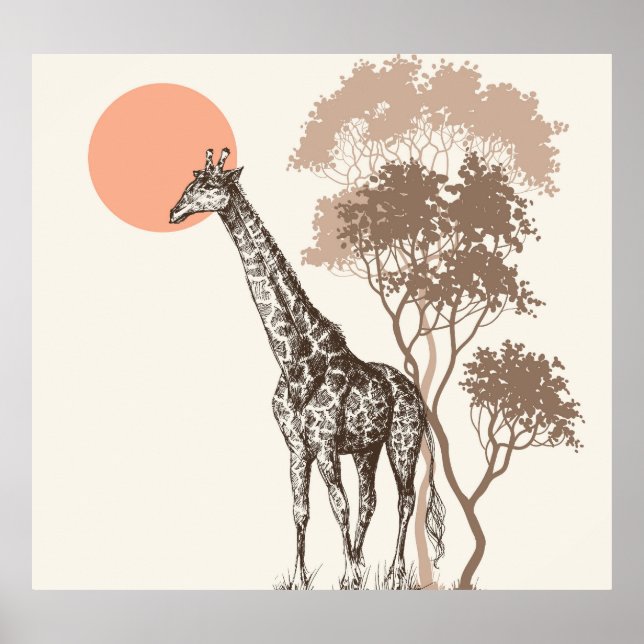Safari Sunset Giraffe Nature Scenery Poster (Framsidan)