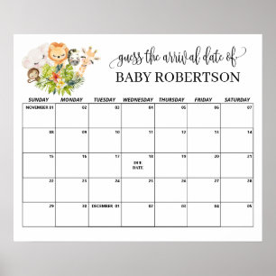 Safari Vild Bebis Babyshower Gissa Förfallodatum K Poster