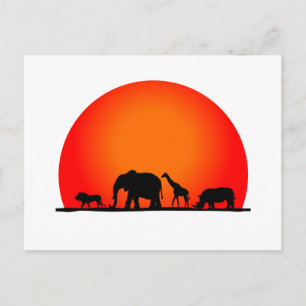 Safari Vykort