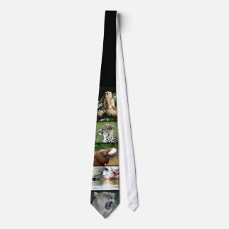 SafariTie Slips