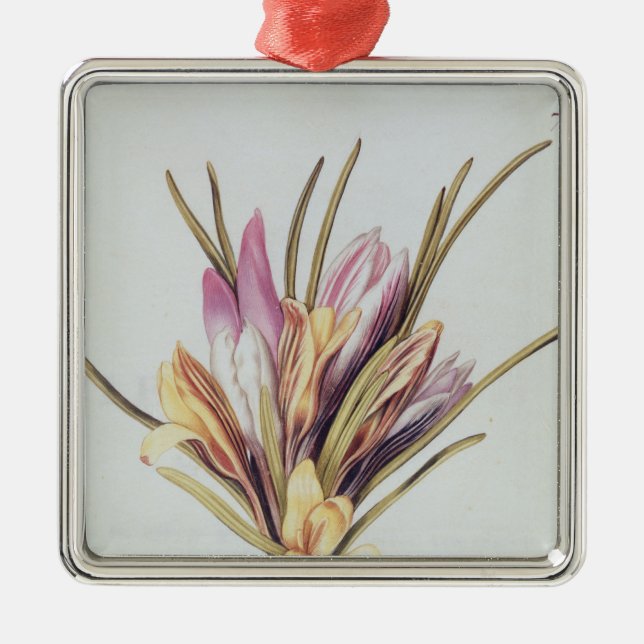 Saffran eller krokus, från 'La Guirlande de Julie' Julgransprydnad Metall (Framsidan)