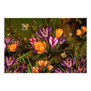 Saffrankrokus Fototryck