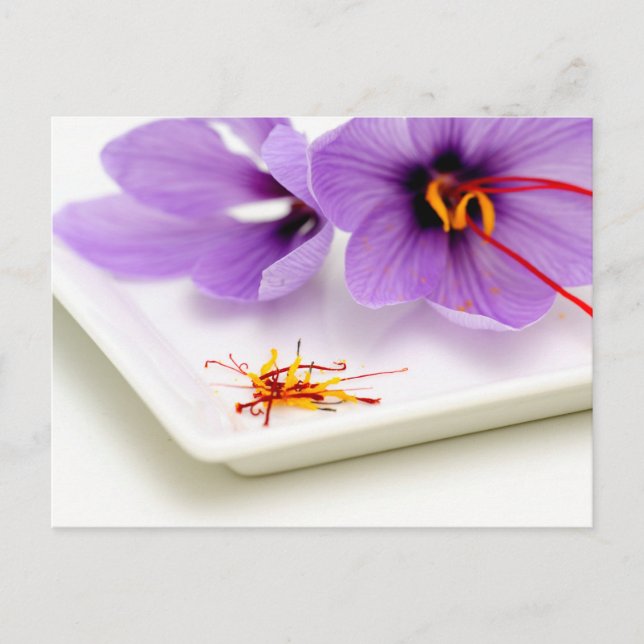 Saffron Flowers Vykort (Framsida)