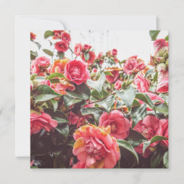 Safir Guld | Fyrkantigt Platt Kort med Kuvert