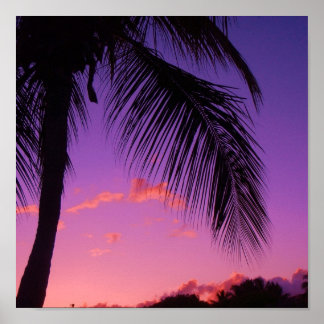 safir handflatan poster