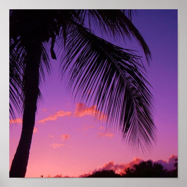 safir handflatan poster (Framsidan)