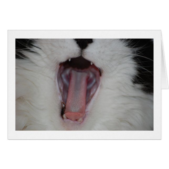 Säg Ah/dentist Humor Hälsningskort (Framsidan Horizontal)