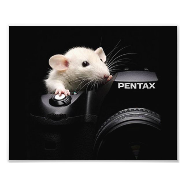 Säg Cheese! Fototryck (Framsidan)