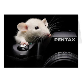 Säg Cheese! Hälsningskort