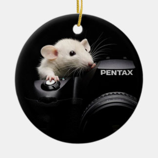 Säg Cheese! Julgransprydnad Keramik
