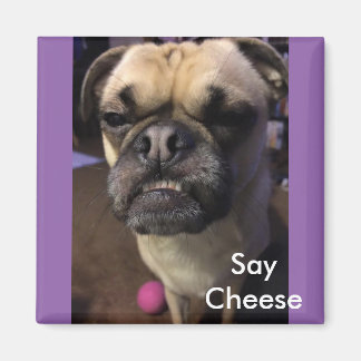 Säg Cheese Magnet