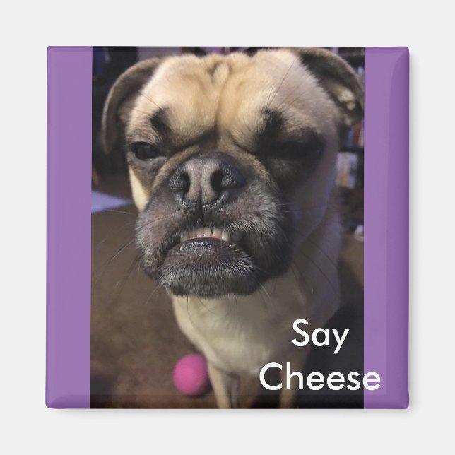 Säg Cheese Magnet (Framsidan)