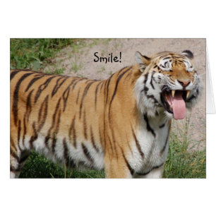 Säg Cheese Tiger Card Hälsningskort