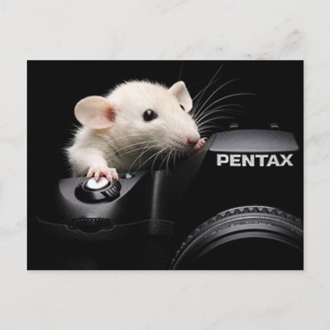 Säg Cheese! Vykort (Framsida)