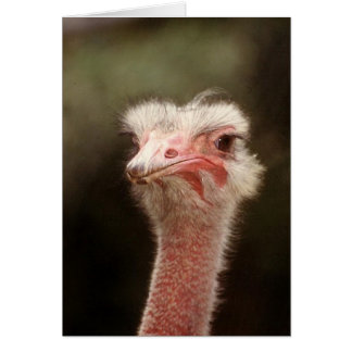 Säg det igen? hälsningskort