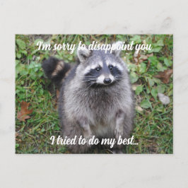 Säg Förlåt Raccoon Apologize Vykort