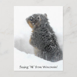 Säg hej från Wisconsin Snowy Squirrel Vykort