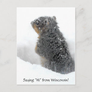 Säg hej från Wisconsin Snowy Squirrel Vykort