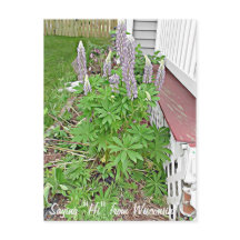 Säg hej från Wisconsin