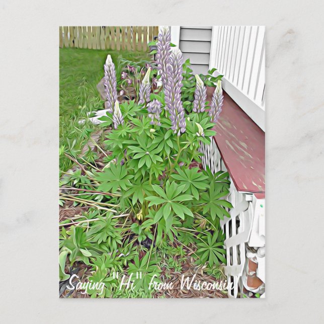 Säg hej från Wisconsin Vykort (Framsida)