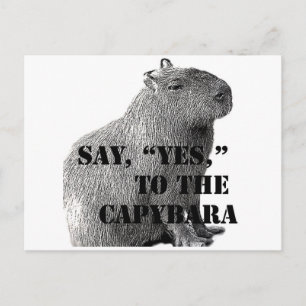 Säg "Ja" till Capybara-kortet Vykort