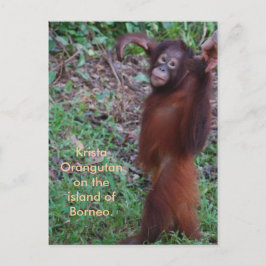 Säg nej till Bullies med Krista orangutan Vykort